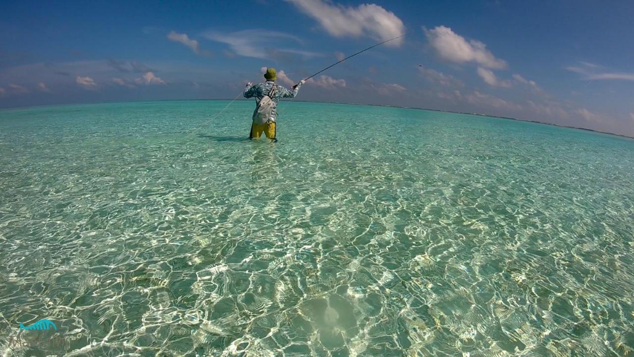 Masfalhi View Inn Felidhoo Luaran gambar