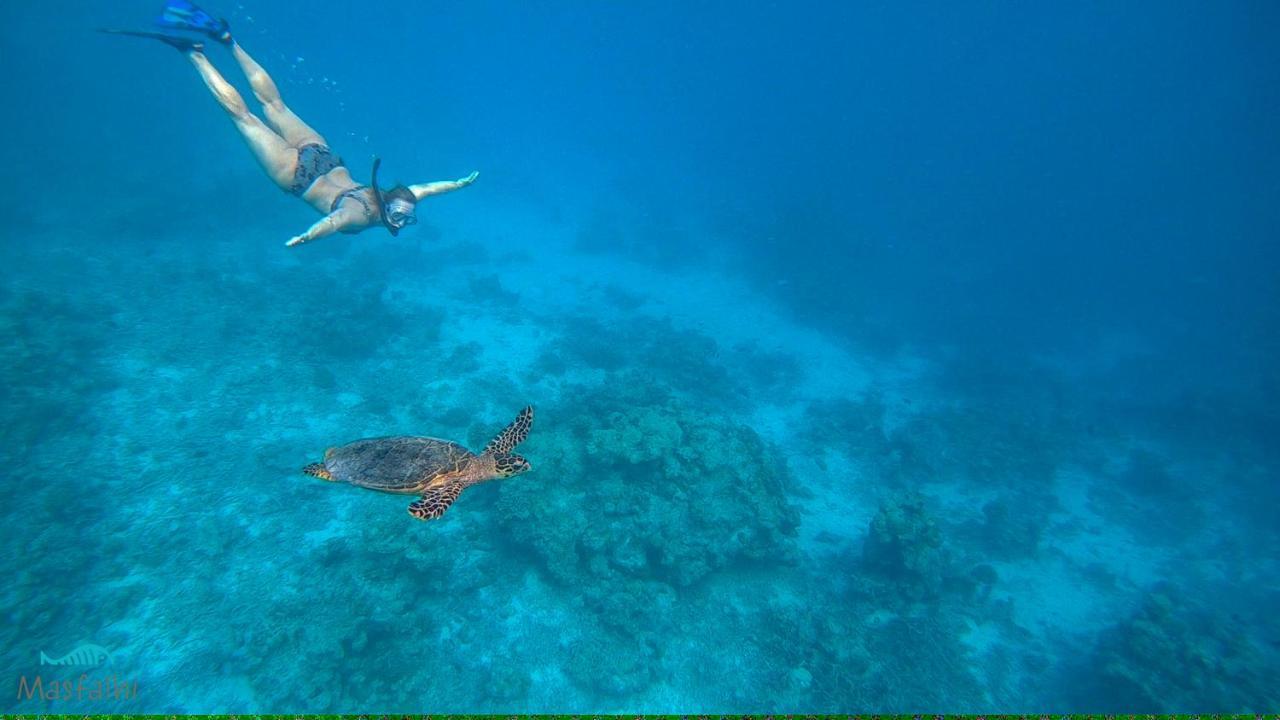 Masfalhi View Inn Felidhoo Luaran gambar