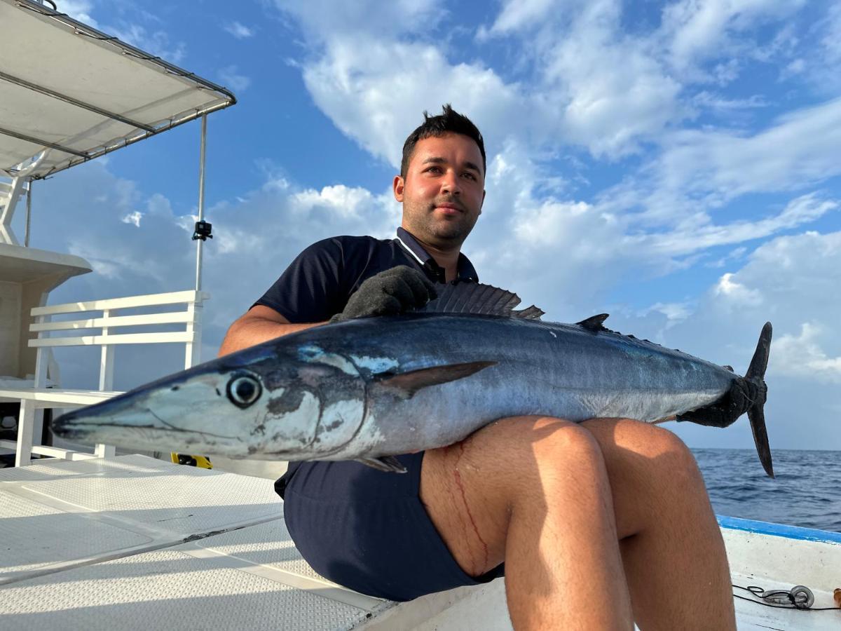 Masfalhi View Inn Felidhoo Luaran gambar